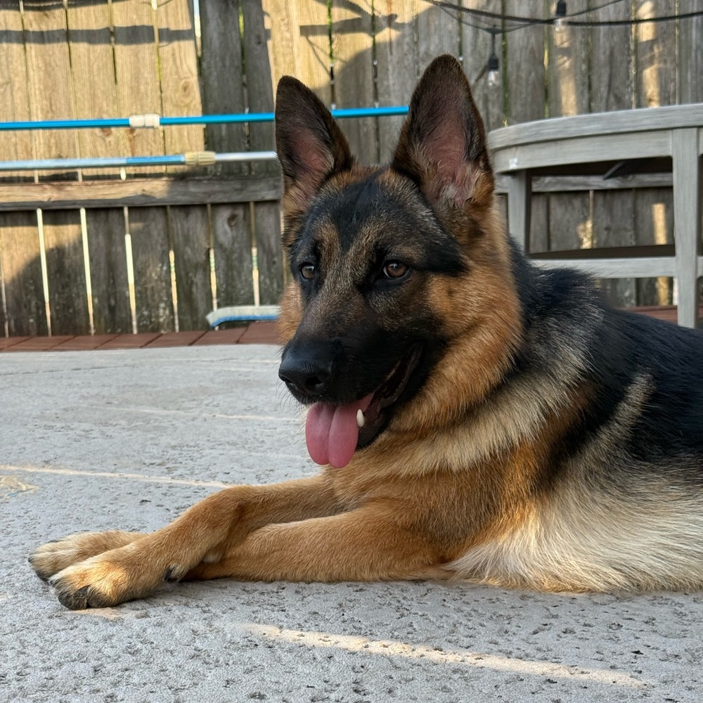 Meet your Posher, Maegan